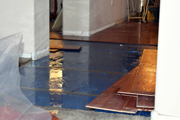 Professional Emergency Water Damage Restoration technician working in Holton, KS